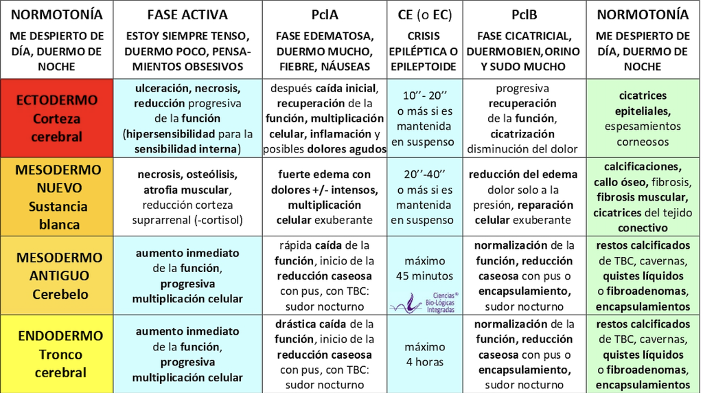 MÓDULO: Diagnóstico diferencial + Órganos con sentido